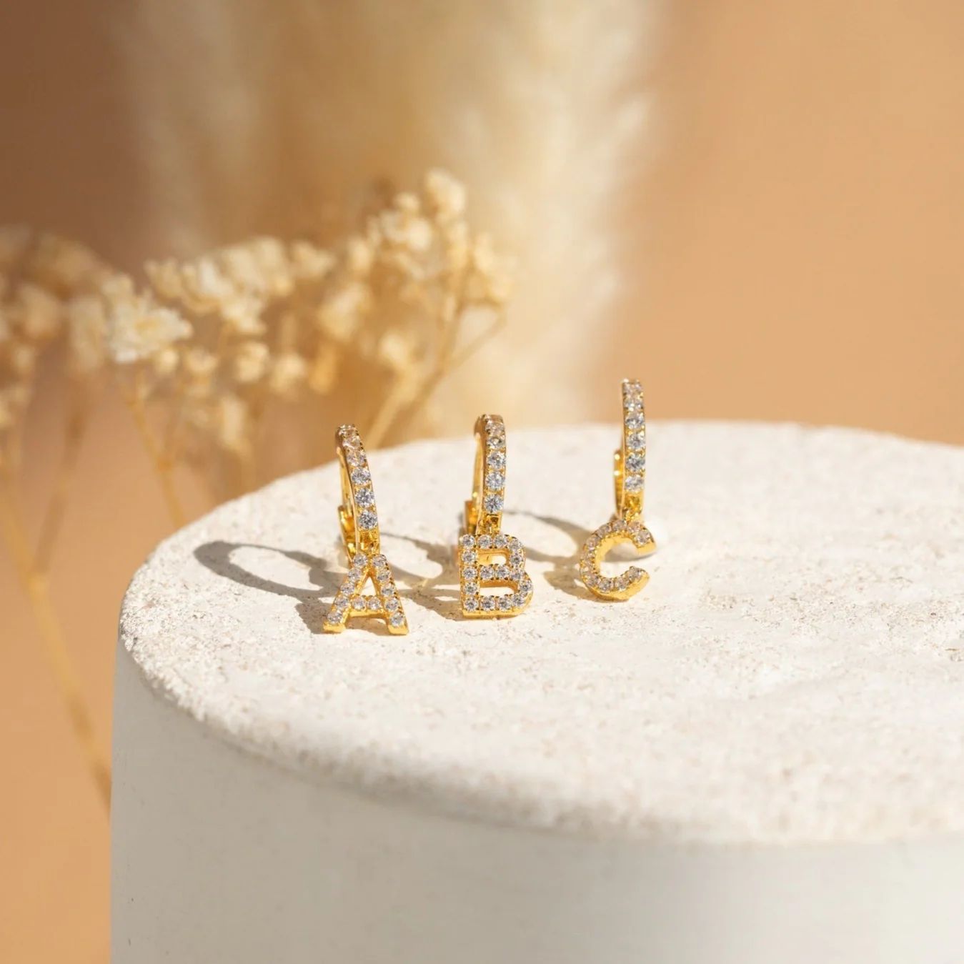 Aros con Inicial y Brillo